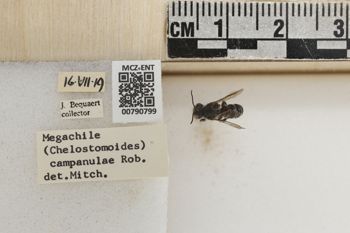Media type: image;   Entomology 790799 Aspect: Labels